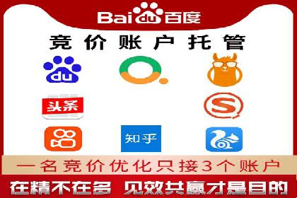 SEM托管服务案例：优化策略与效果展示